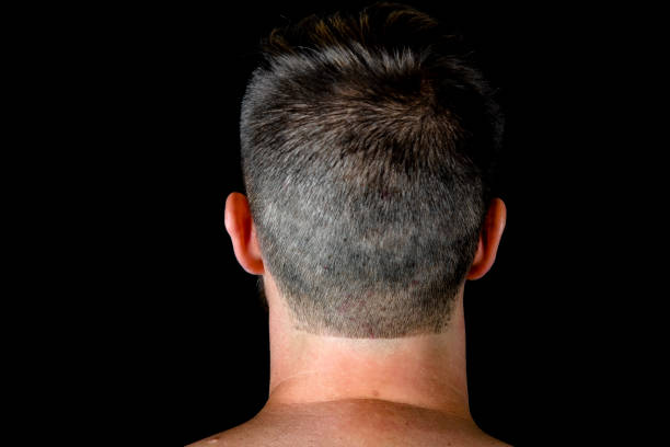 The back of a man's head after a freshly clipped haircut appearing well groomed with a defined neckline.