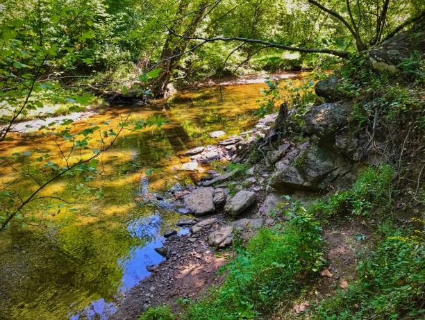 Bull Run in Autumn stock photo
