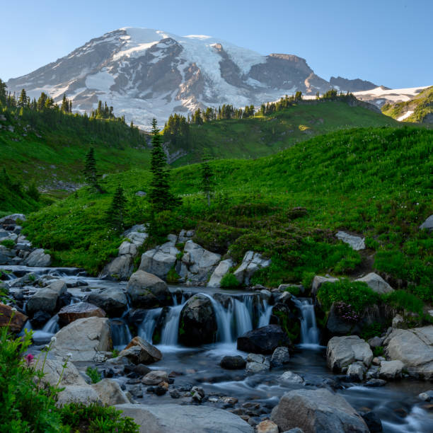 istock Stream Tumbles Over Rocks with Mount Rainier 1276630528