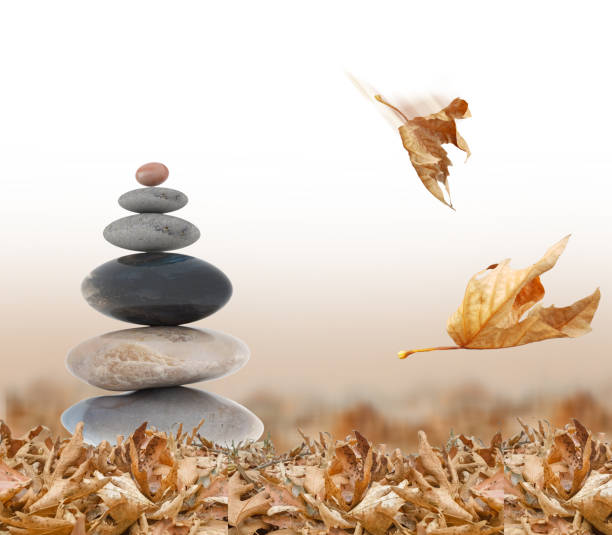 autumn leaves falling balance  on old wood for background