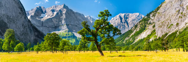 istock panoramic landscape at Karwendel mountains 1276634817