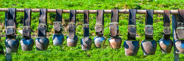 many cow bells hanging in a row