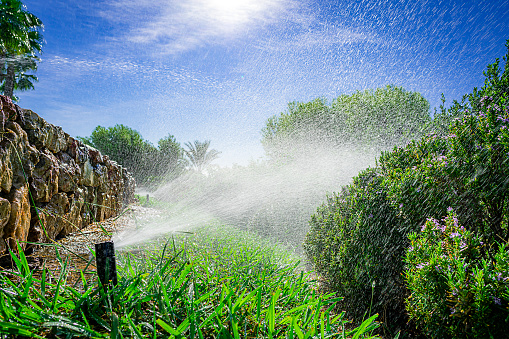 Irrigation sprinklers in action irrigating garden green grass on a sunny day. Predominant colors are green and blue. Useful copy space available for text and/or logo. High resolution 42Mp outdoors digital capture taken with SONY A7rII and Zeiss Batis 25mm F2.0 lens