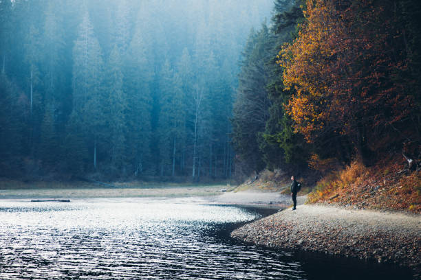 風光明媚な山の湖で秋を楽しむ若い男のバックパッカー - carpathian mountain range ストックフォトと画像