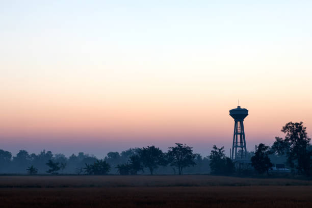 Rice field views and early morning trees in Thai countryside with tap water towers installed for consumption.