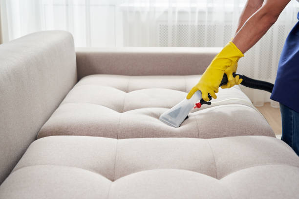 Close-up of housekeeper holding modern washing vacuum cleaner and cleaning dirty sofa with professionally detergent. Professional springclean at home concept stock photo