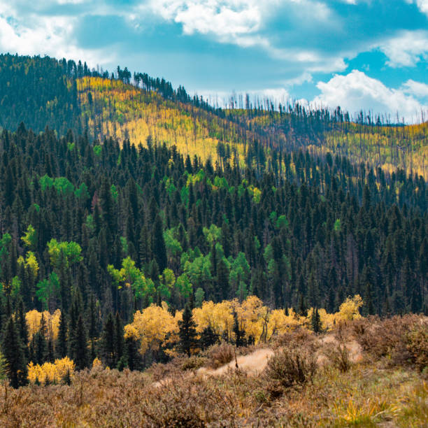 istock End of Summer Landscape 1276643709