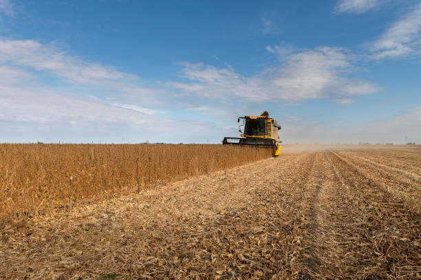 istock A combine harvester working in a wheat field 1276647887