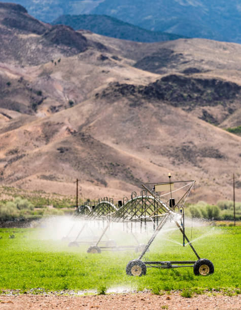 istock Agricultural irrigation in a dry climate 1276649217