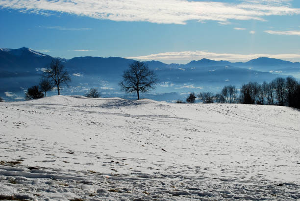 istock the Belluno valley from the mountain 1276649546
