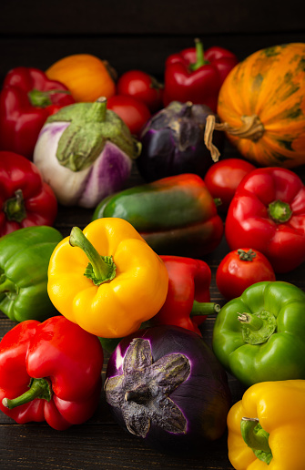 Fresh autumn harvest of organic vegetables, bell peppers with tomatoes, eggplant and pumpkin, vegetable background