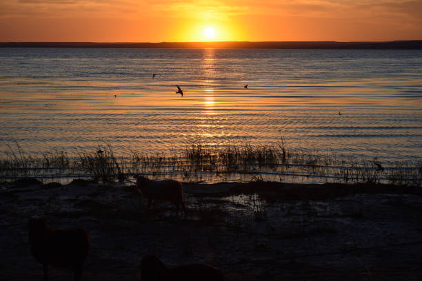 istock orange sunset over the Volga river 1276653921