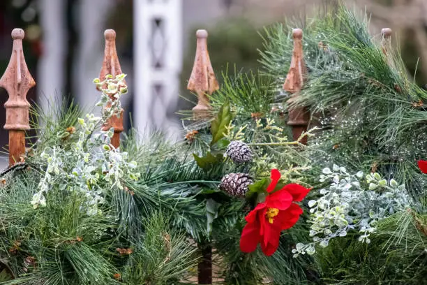 Close-up of a Christmas holiday garland of evergreens, poinsettia, and mistletoe on a rusted Victorian-style cast-iron fence.