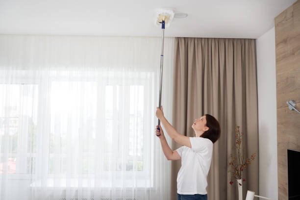 mujer limpiando el techo con una fregona. casa ama de casa limpieza sala de estar - dust dusting cleaning broom fotografías e imágenes de stock