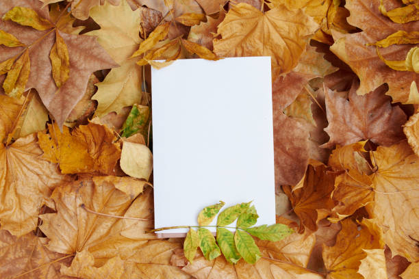 istock autumn background with leaves and blank paper sheet 1276657571