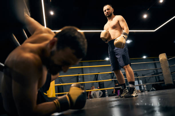 istock Proud boxer standing over the defeated opponent 1276661422