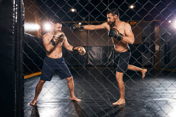 istock Two boxers fighting behind chain link fence 1276661469
