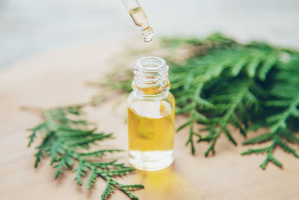 istock Juniper essential oil in a small bottle. Selective focus. 1276667071