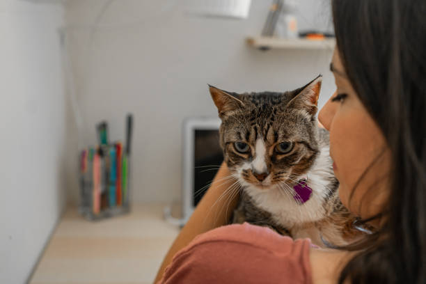 istock Latin woman with her cat at home 1276667680
