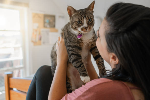 istock Latin woman with her cat at home 1276667741