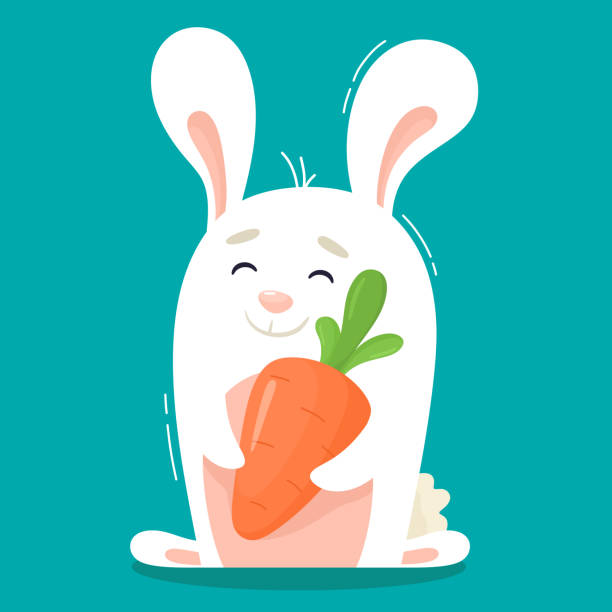 Cute stylized bunny with a carrot. Vector illustration in cartoon flat style. Cute stylized bunny with a carrot. Vector illustration in cartoon flat style. fluffy rabbit stock illustrations