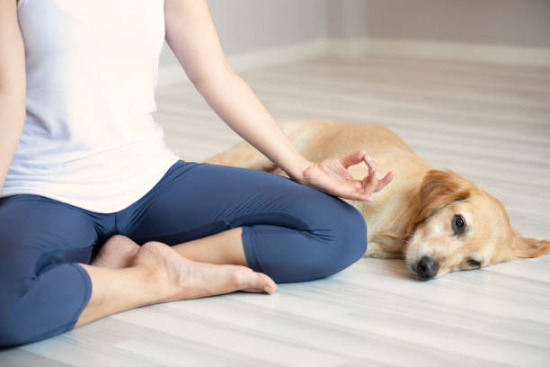 istock Woman and Dog Doing Yoga 1276670038