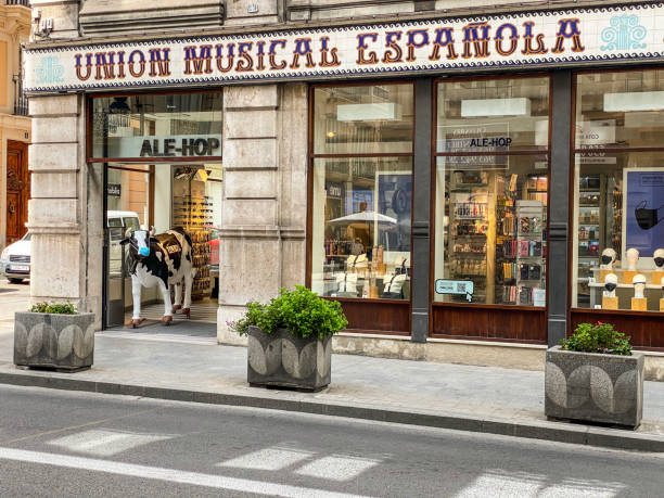 Valencia, Spain - September 23, 2020: Fake cow with protective face mask on his mouth at local store entrance in the city downtown. This is a way to remind people that wearing a mask to enter stores is mandatory during the coronavirus pandemic