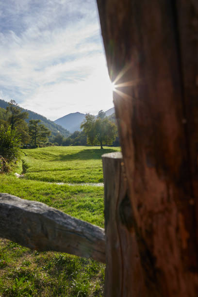 istock Green meadow to contaluz 1276677362