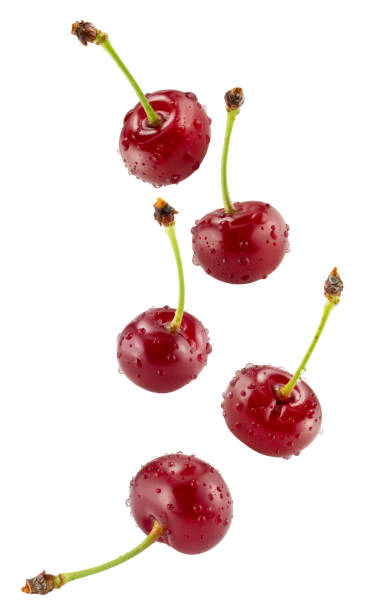 istock falling sweet cherries isolated on a white background 1276677628