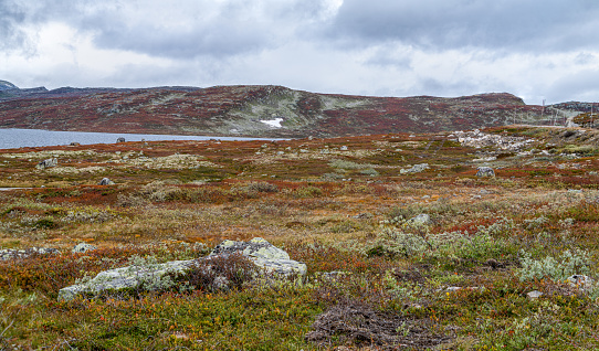 Skiftessjoen lake in the Hardangervidda National Park in Norway