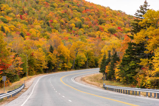 istock Mountain road through a colourful deciduous forest in autumn 1276683862