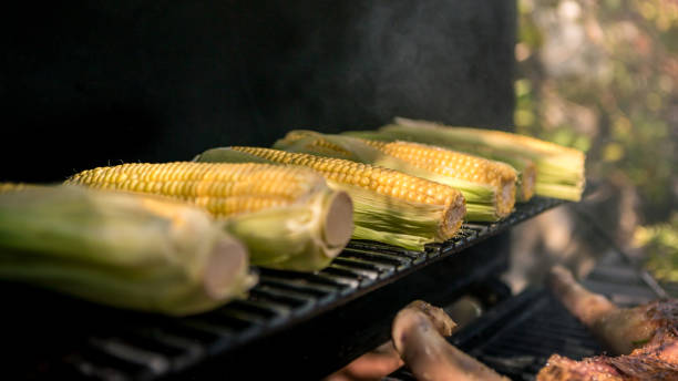 chef cozinhando churrasco com um milho na espiga em grelhado. milhos deliciosos no churrasco. - corn corn on the cob grilled roasted - fotografias e filmes do acervo