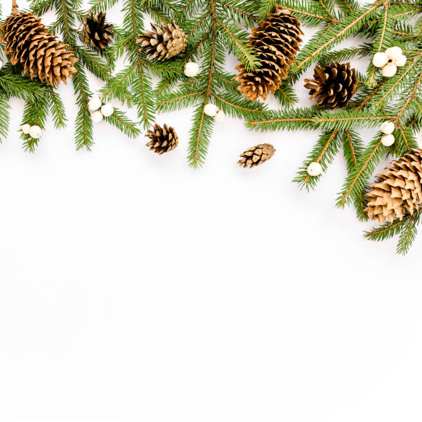 istock Christmas composition with fir branches, pine cones on white background. Flat lay, top view 1276690138