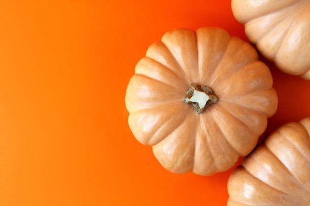 istock Round pumpkins bright orange background top view. 1276691294
