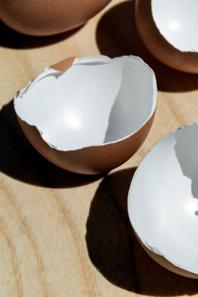 Empty egg shells stock photo