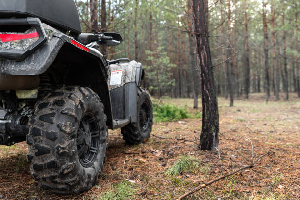 atv awd quadbike moto indietro pov vista vicino albero nella foresta nebbiosa di pino conifere con splendida natura paesaggio nebbia mattutina. spedizione di viaggio avventura fuoristrada. attività ricreativa estrema - wheel cycling nobody outdoors foto e immagini stock