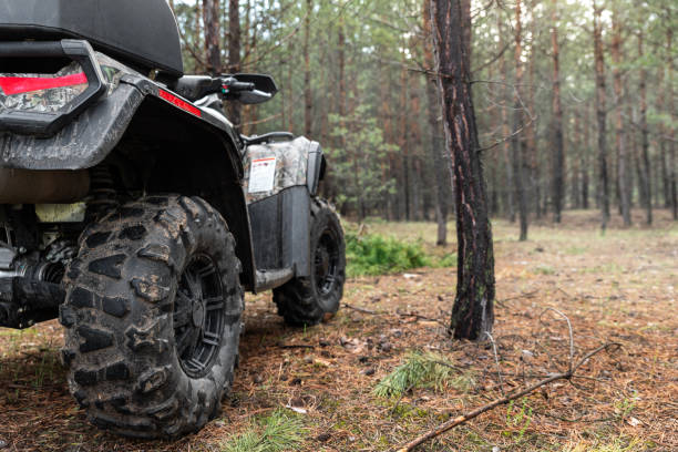 ATV awd quadbike motorcycle back pov view near tree in coniferous pine foggy forest with beautiful nature landscape morning mist. Offroad travel adventure trip expedition. Extreme recreation activity ATV awd quadbike motorcycle back pov view near tree in coniferous pine foggy forest with beautiful nature landscape morning mist. Offroad travel adventure trip expedition. Extreme recreation activity. off road vehicle photos stock pictures, royalty-free photos & images