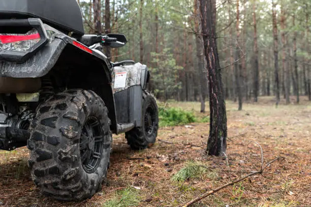 ATV awd quadbike motorcycle back pov view near tree in coniferous pine foggy forest with beautiful nature landscape morning mist. Offroad travel adventure trip expedition. Extreme recreation activity.