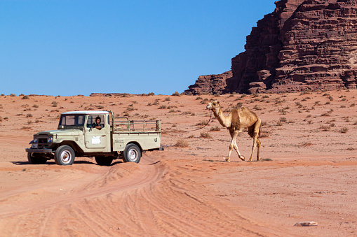 Agafay Desert in Morocco by Day with Camel