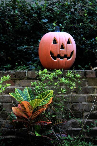 a charming Jack O' Lantern on an old brick wall with lovely leaves