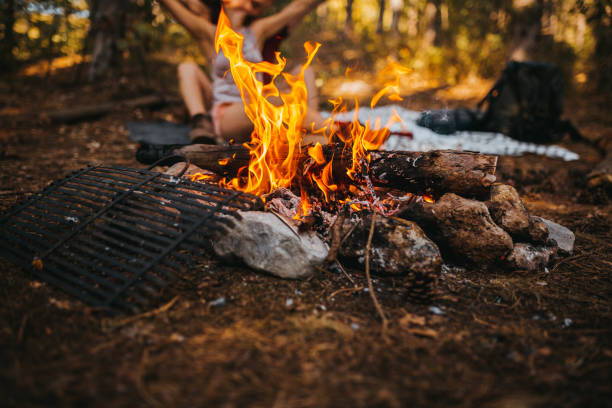 istock The couple enjoys a picnic and a fire 1276699478