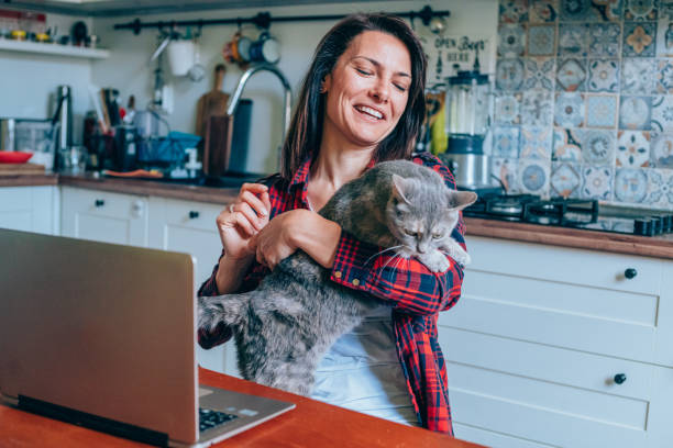 istock Woman holding a cat and using laptop. 1276701159
