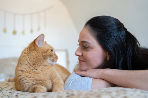 istock Woman with cat at home 1276703810