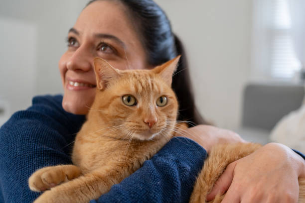 istock Woman with cat at home 1276703818