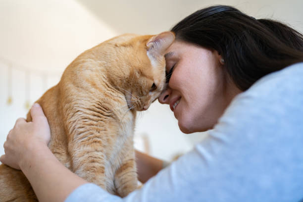 istock Woman with cat at home 1276703850