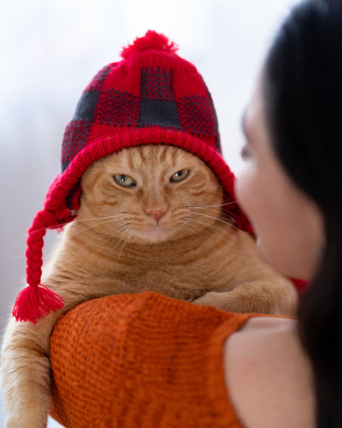 Fashion portrait of a funny cat wearing a knitted blue hat with two pink pompoms walking outdoors in a snowy winter park