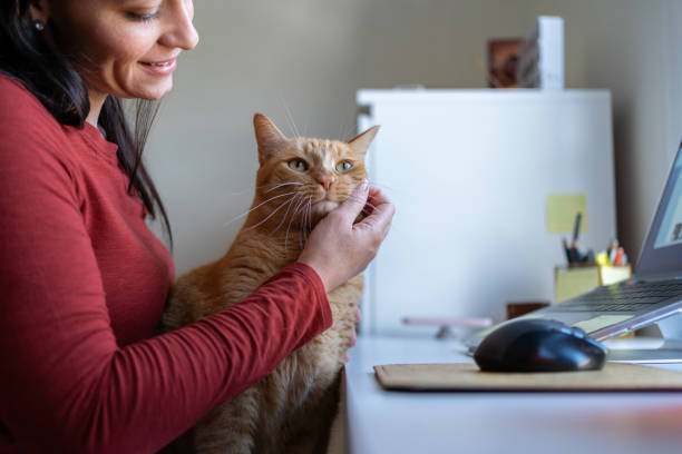 istock Woman with cat at home 1276703857