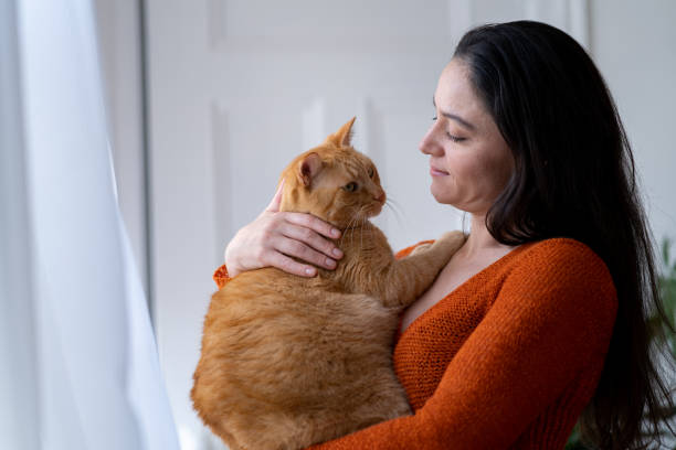 istock Woman with cat at home 1276703890