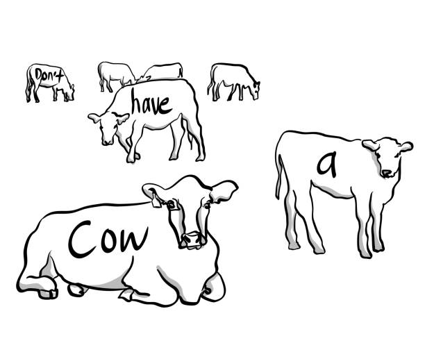 Don't Have A Cow Funny saying or expression about cows and not getting upset dont eat meat stock illustrations