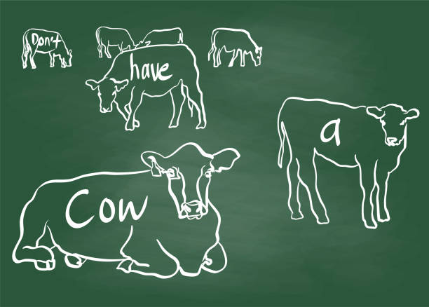 Don't Have A Cow Chalkboard Funny saying or expression about cows and not getting upset dont eat meat stock illustrations